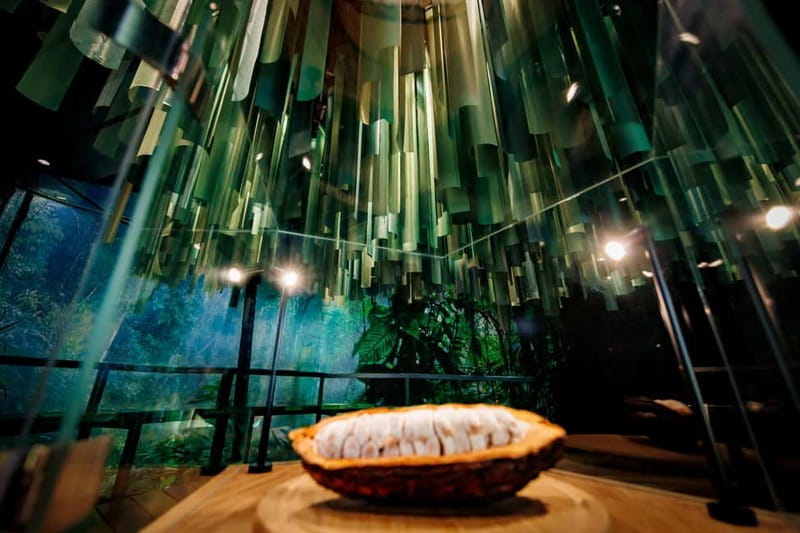 Hamburg: Chocoversum Guided Tour with Tastings - What the $37 price buys you