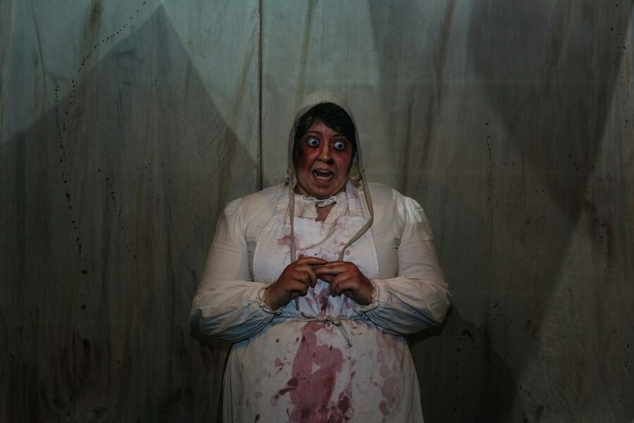 Hamburg: Hamburg Dungeon Admission Ticket - Is the $33 ticket good value?