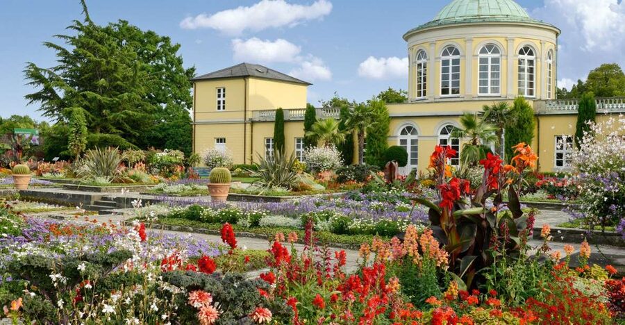 Hannover: Guided tour of the Berggarten - Why the Berggarten greenhouses deserve your time