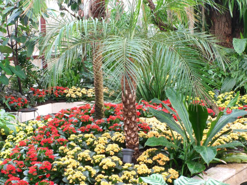 Hannover: Guided tour of the Berggarten - Should you book the guided Berggarten tour?