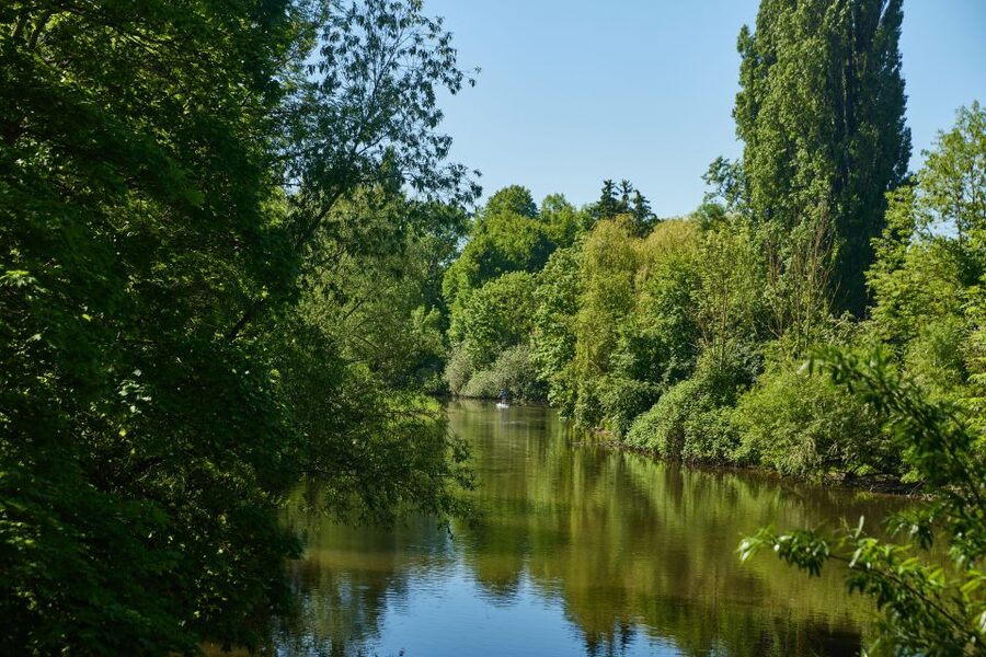 Hanover: Guided Walking Tour of the Linden-Limmer District - Limmerstraße and the local art of Limmern