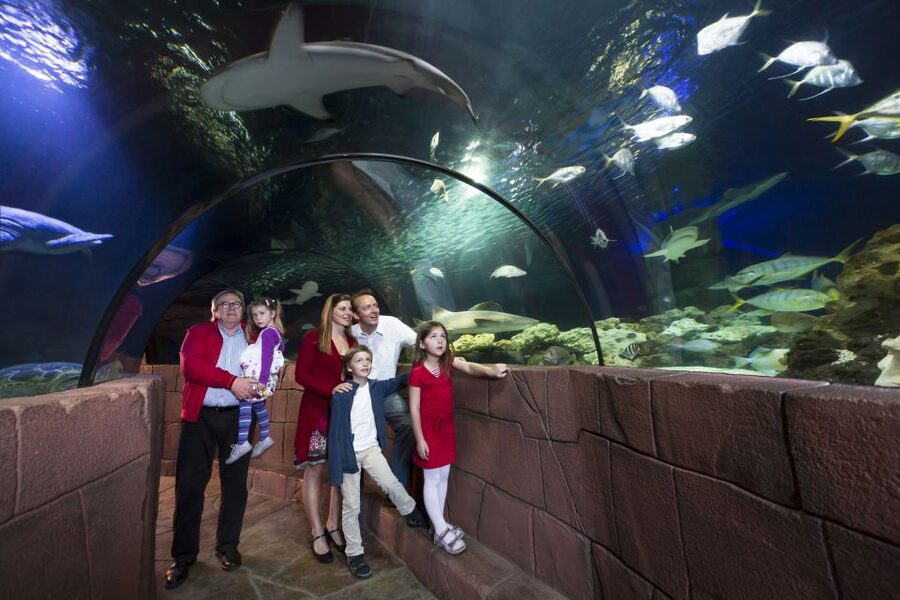 Hanover: SEA LIFE Entry Ticket - Who should book SEA LIFE Hannover?