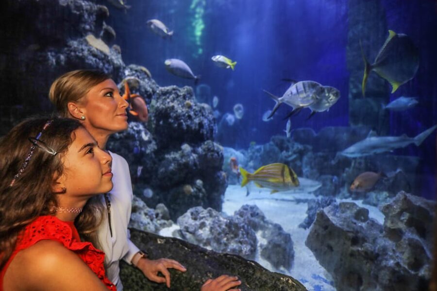 Hanover: SEA LIFE Entry Ticket - From the Leine River to tropical seas