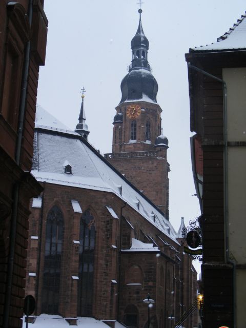 Heidelberg: 2-Hour Crime Tour with Costumed Guide - Starting at the Madonna statue in Kornmarkt