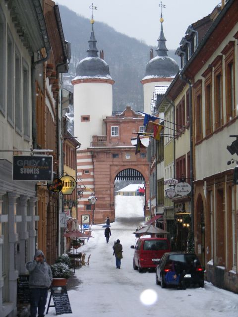 Heidelberg: 2-Hour Crime Tour with Costumed Guide - The Old University, New University, and student violence
