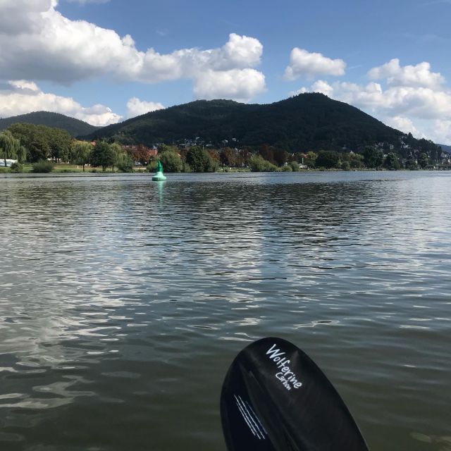 Heidelberg: 2-Hour Kayak Tour - Key points at a glance