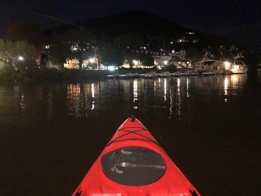 Heidelberg: 2-Hour Kayak Tour - How the small group changes the experience