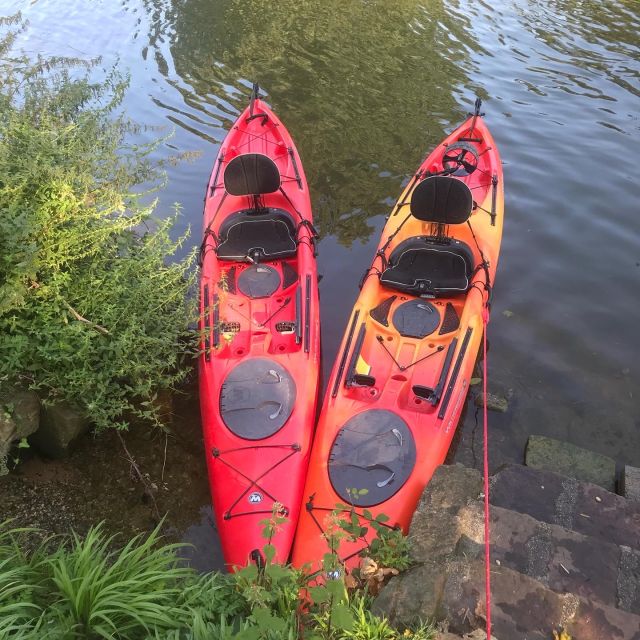 Heidelberg: 2-Hour Kayak Tour - What to wear and bring for the Neckar