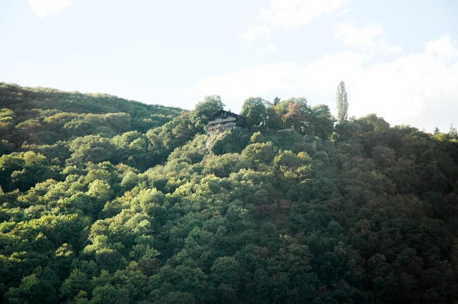 Heidelberg and Rhine Combination Tour from Frankfurt - Walking Heidelberg’s medieval center