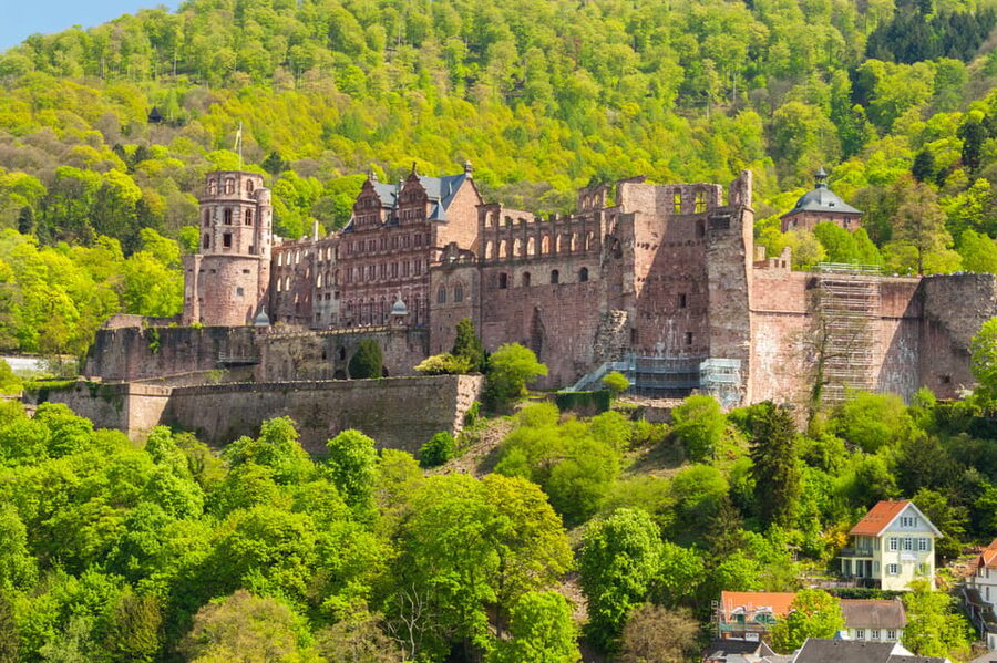 Heidelberg and Rhine Combination Tour from Frankfurt - Local wine and a riverside dinner