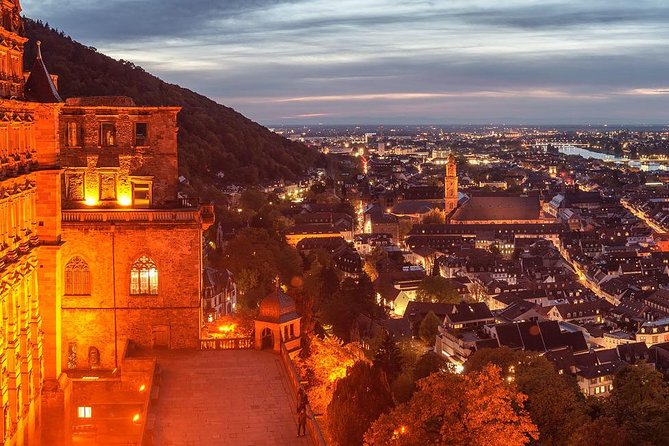 Heidelberg and Rhine Valley Day Trip With Wine Tasting and Dinner from Frankfurt - Cruising the UNESCO-Listed Rhine