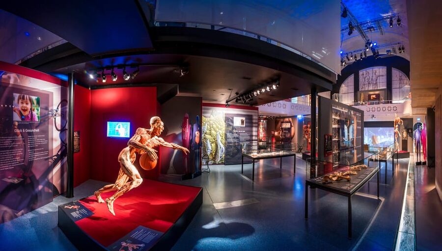 Heidelberg: BODY WORLDS Museum Entry Ticket - Getting to Altes Hallenbad in Heidelberg