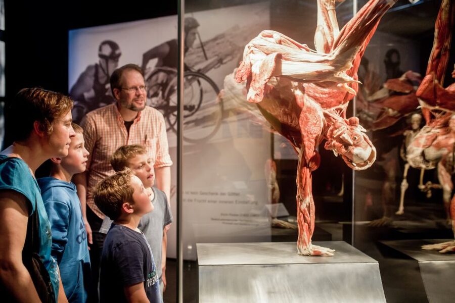 Heidelberg: BODY WORLDS Museum Entry Ticket - Who will enjoy this museum most?