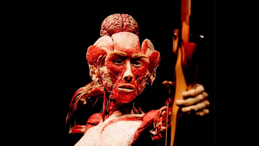 Heidelberg: BODY WORLDS Museum Entry Ticket - Practical tips for a better visit