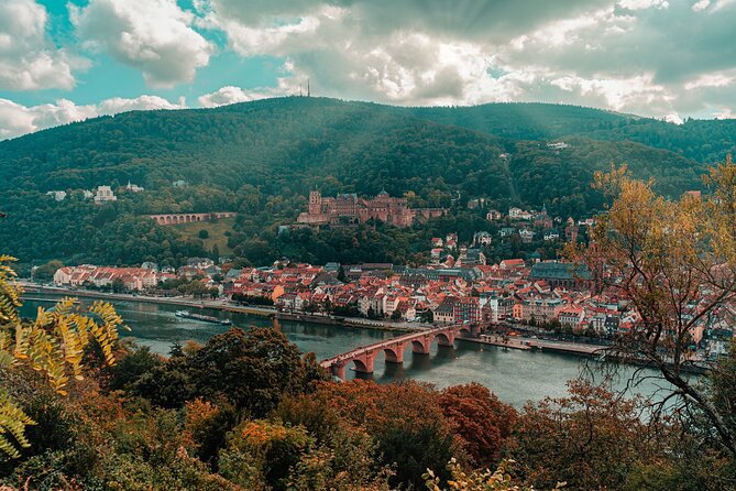 Heidelberg Castle and City Day Tour from Frankfurt - Key points to know before booking