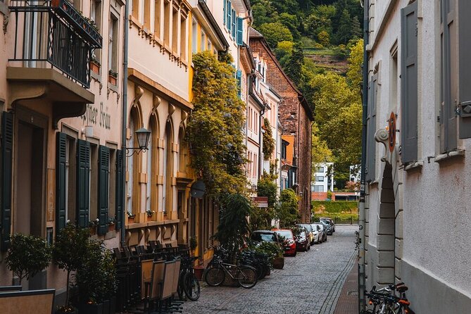 Heidelberg Castle and City Day Tour from Frankfurt - Walking through Heidelberg’s old center