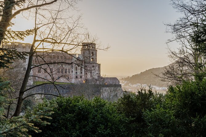 Heidelberg Castle and City Day Tour from Frankfurt - Reaching Heidelberg Castle and the first views