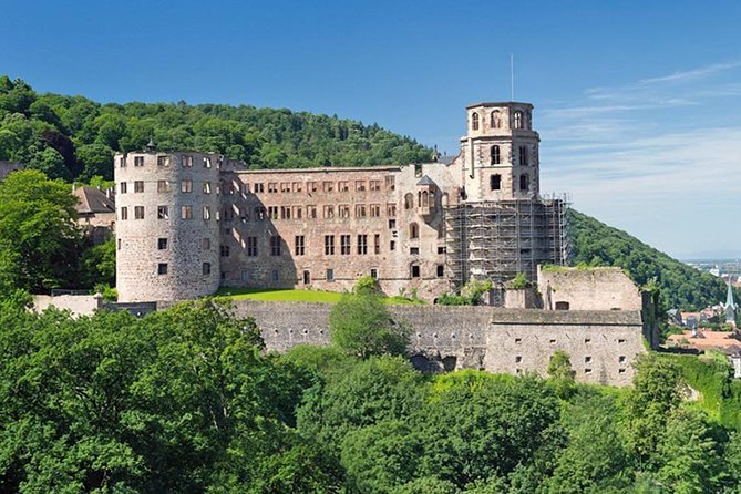 Heidelberg Castle and Old Town Tour from Frankfurt - Is $154.99 a fair price?
