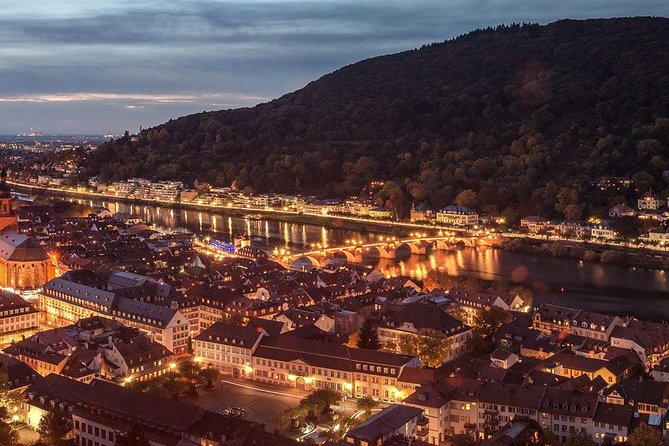 Heidelberg Castle and Old Town Tour from Frankfurt - Who should book this Heidelberg trip?