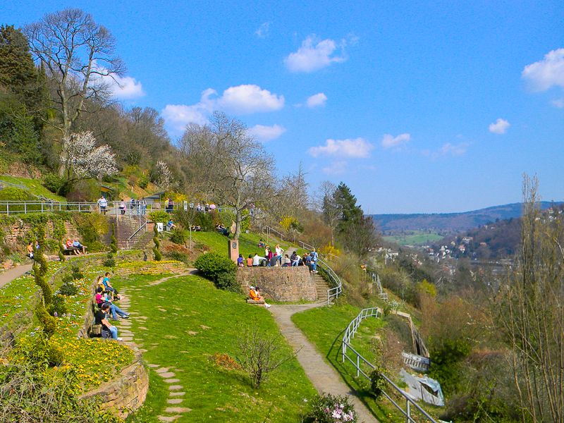 Heidelberg Castle Tour: Residence of the Electors - Key points to know before you book