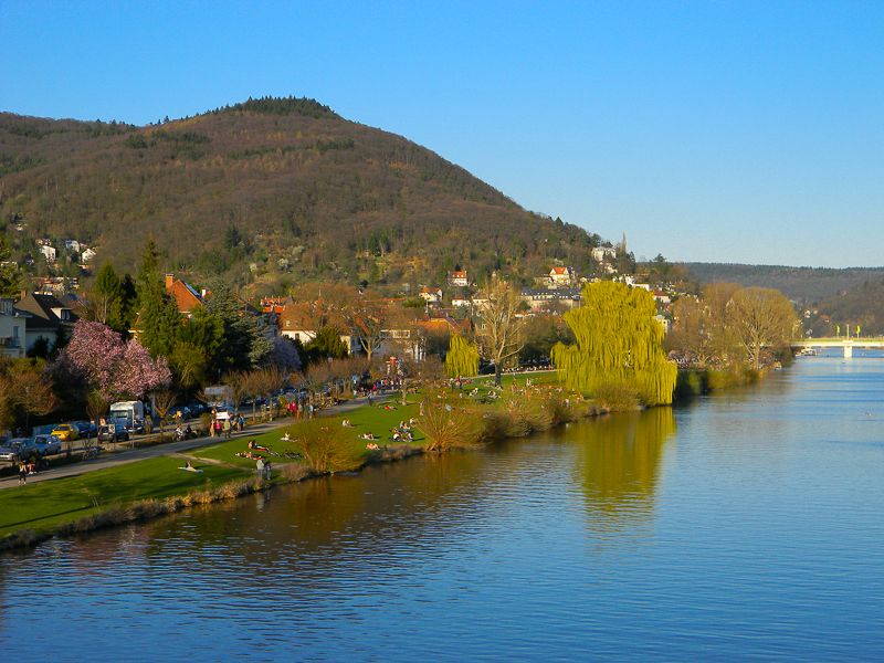 Heidelberg Castle Tour: Residence of the Electors - Why Heidelberg Castle is worth your time