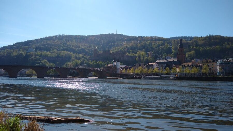 Heidelberg: Guided Bike Tour - Along the Neckar River