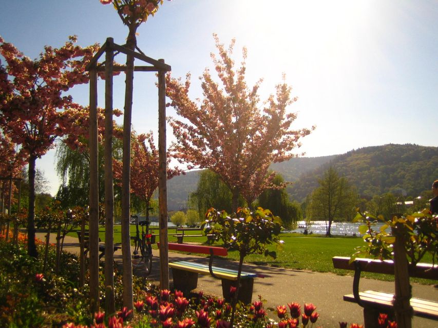 Heidelberg: Guided Bike Tour - The guides and the feel of the ride