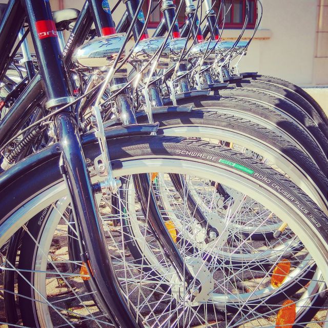 Heidelberg: Guided Bike Tour - Is the $50 price good value?