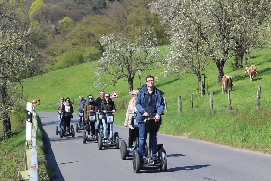 Heidelberg Highlights Segway Tour with Castle - Key points at a glance