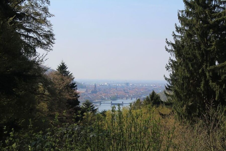 Heidelberg Highlights Segway Tour with Castle - Why this route works so well in Heidelberg