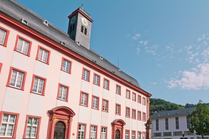 Heidelberg old Town Tour. - Heidelberg Old Town Tour at a Glance