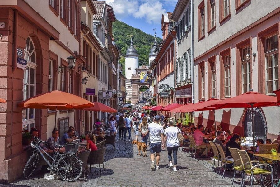 Heidelberg: Old Town Tour Including Castle Visit - Starting at the Lion Fountain and Germany’s 1386 university