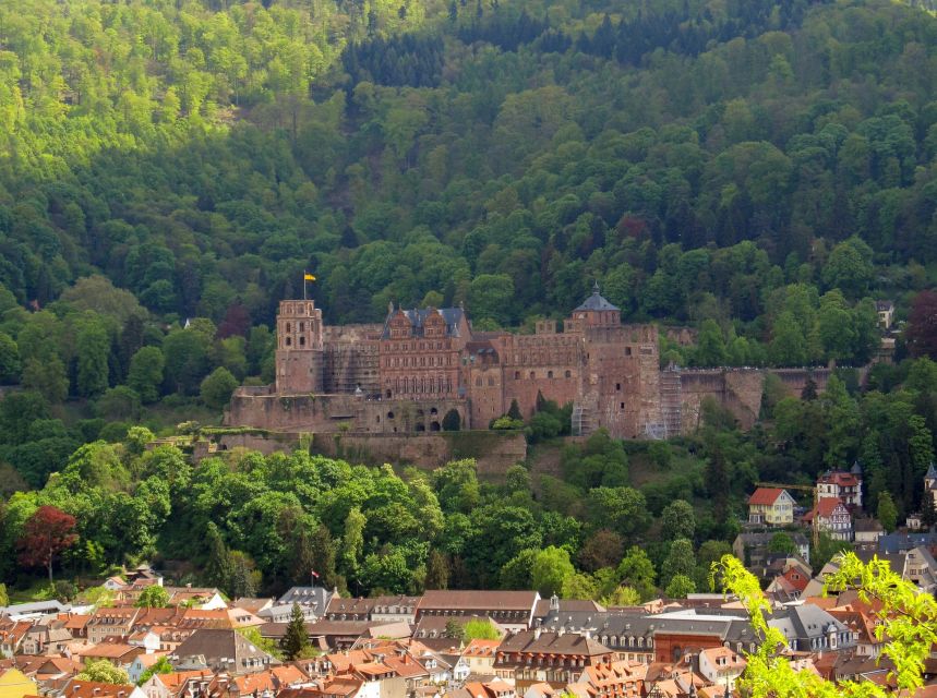 Heidelberg: Old Town Tour Including Castle Visit - Timing, meeting point, and practical tradeoffs