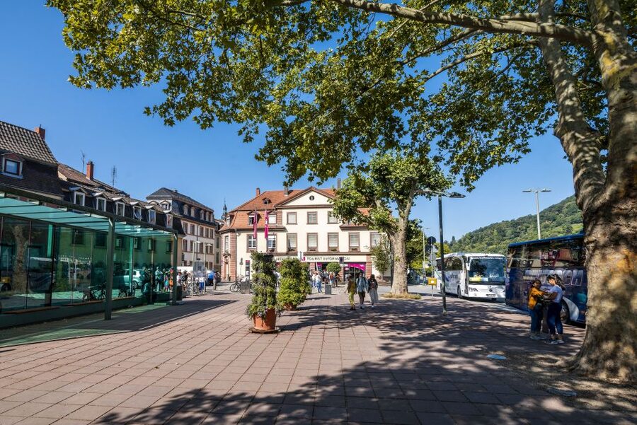 Heidelberg: Sightseeing Bus and Castle Tour - Key points at a glance