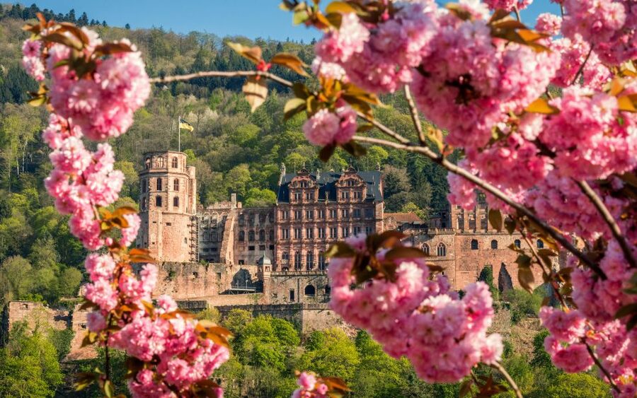 Heidelberg: Sightseeing Bus and Castle Tour - Seeing Heidelberg from the sightseeing bus