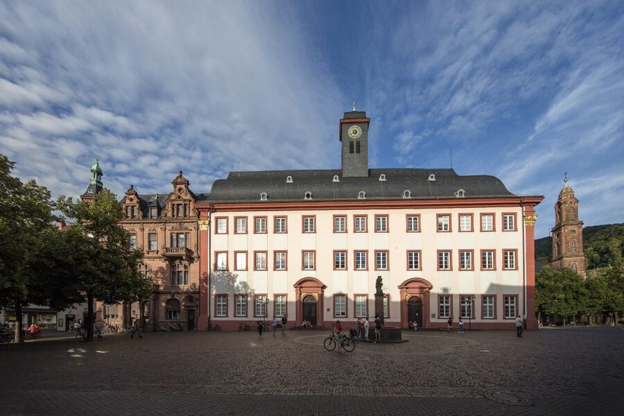 Heidelberg: The University in the Old Town - Key points to know before booking