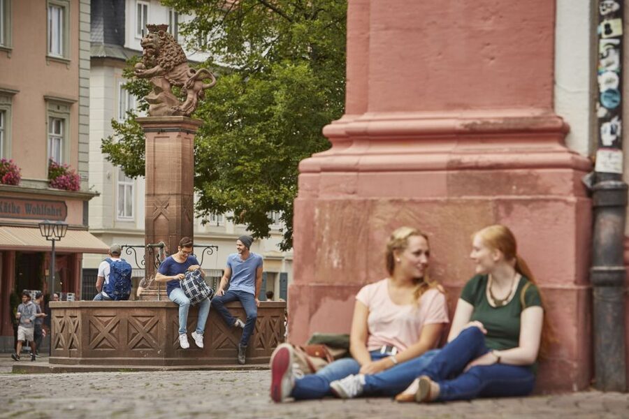 Heidelberg: The University in the Old Town - The Ruperto Carola and the story of 1386