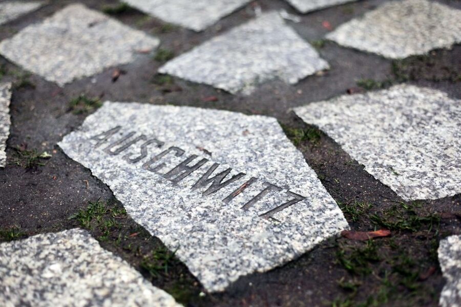 Hitler’s Germany: Berlin During the Third Reich & WWII - The Holocaust Memorial and the Hitler bunker site