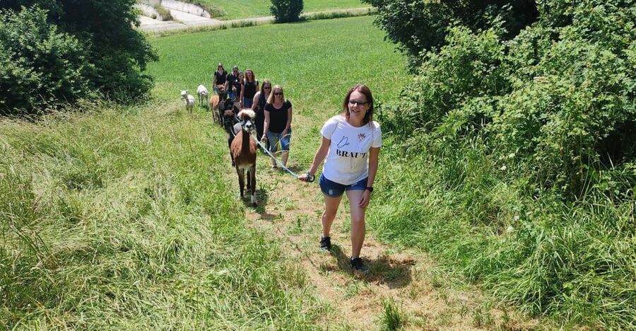 Jettingen-Scheppach: Alpaca hike through the Mindeltal - What the reviews tell me about the experience