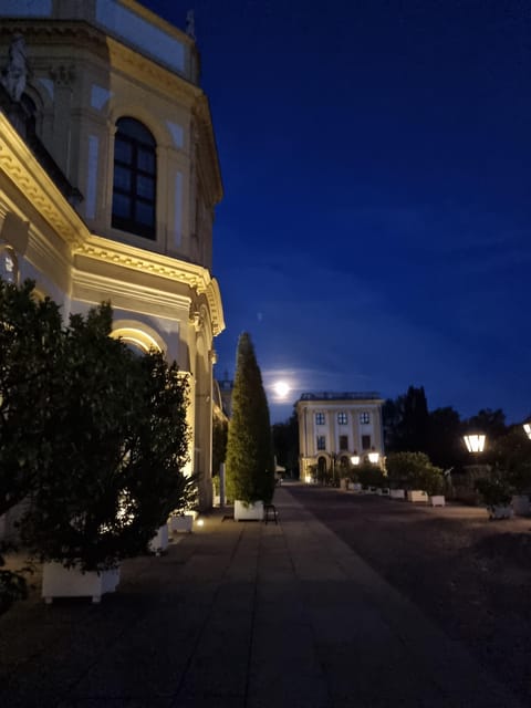 Kassel: Kassel's lost city by night - Practical advice for a better evening