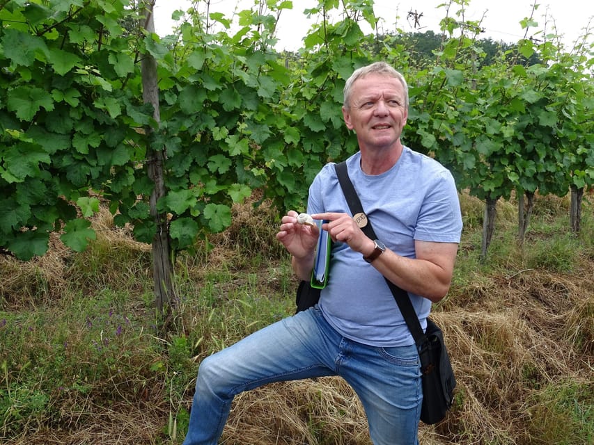 Koblenz: The Living Vineyard, Nature & Wine Enjoyment - Starting at Weingut Lunnebach with a glass in hand