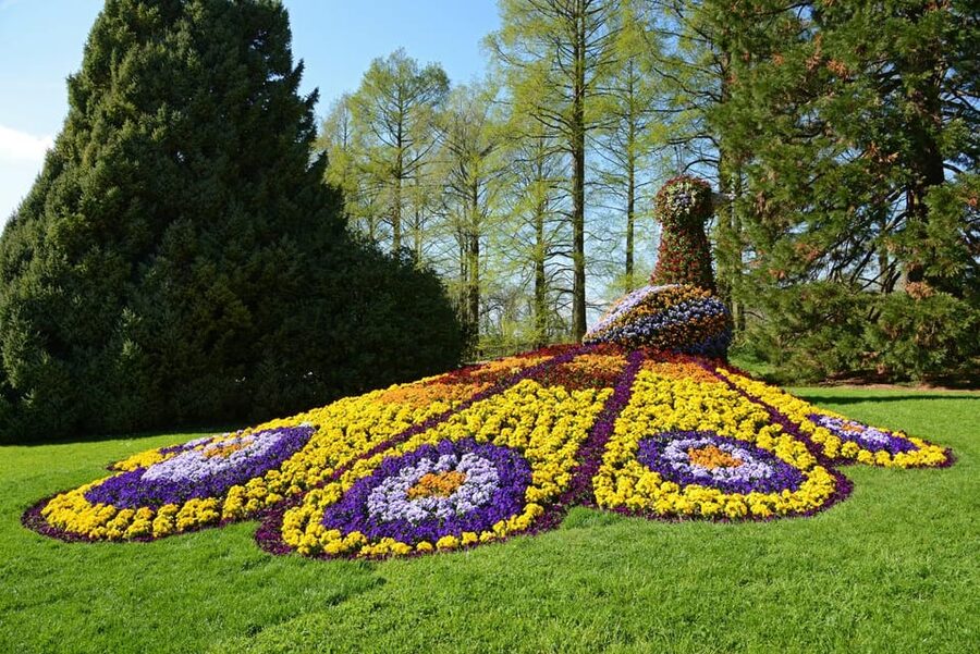 Konstanz: Mainau Island Entry Ticket - Should you book the Mainau Island ticket?