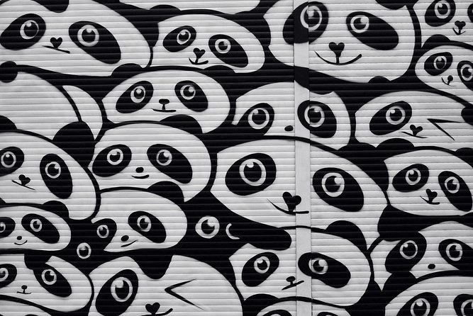 Kreuzberg Walking Tour: Immigrants, Artists & Hipsters - Görlitzer Park and a slower look at local life