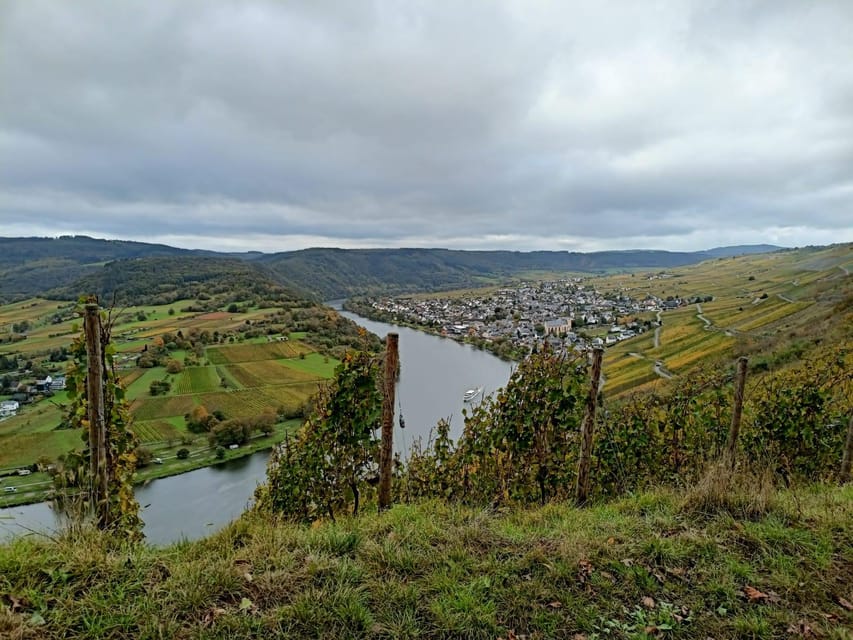 Kröv, Mosel: PLANWAGENFAHRT through the vineyards with wine tasting - Key points to know before you book