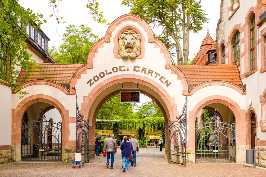 Leipzig: 1-Day Hop-On Hop-Off Bus and Leipzig Zoo Ticket - Booking details that affect your day