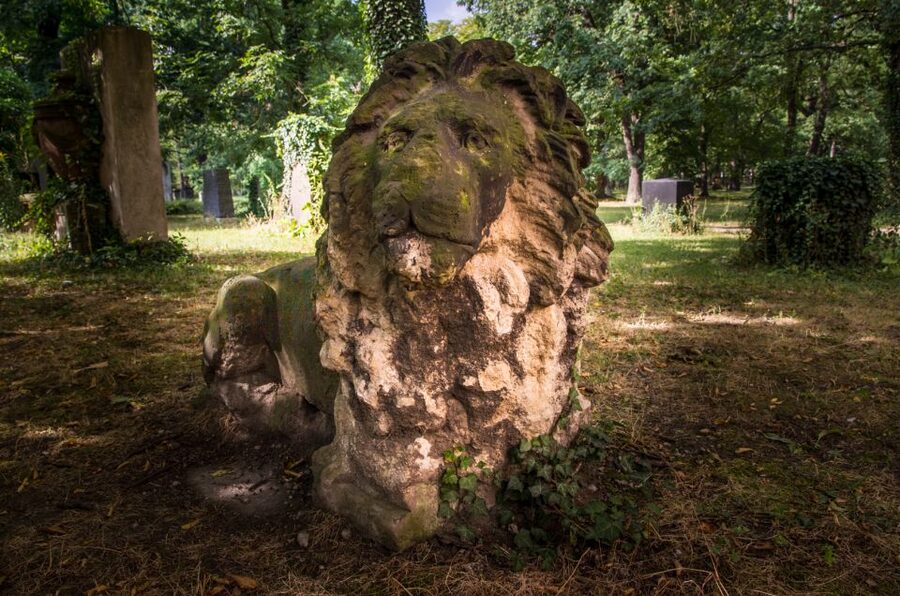 Leipzig Old Cemetery: 75-Minute Dark History Tour - Following the gravedigger’s dark stories