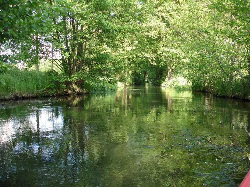 Leipzig: Riverside Forest Tour on the Pleiße - Key points to know before you go