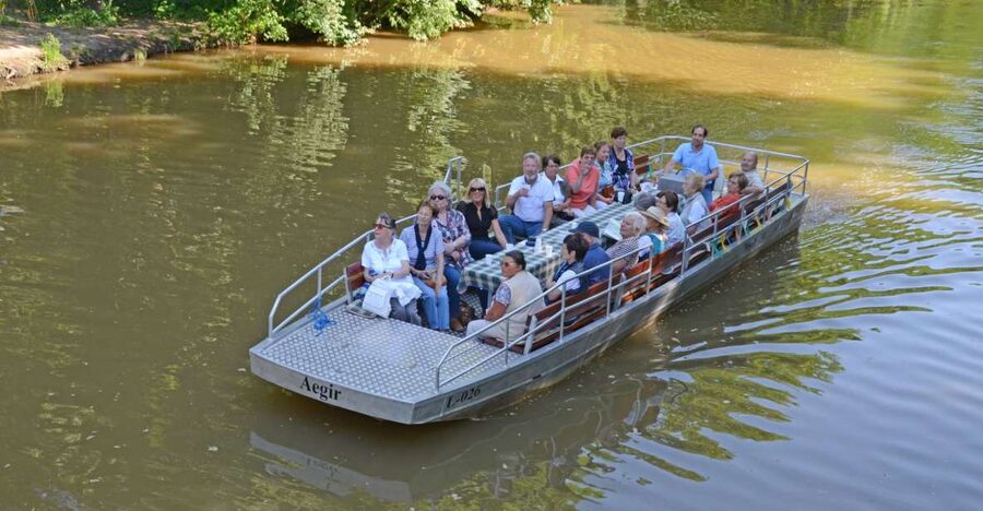 Leipzig: Riverside Forest Tour on the Pleiße - Ancient oaks and a cooler forest climate