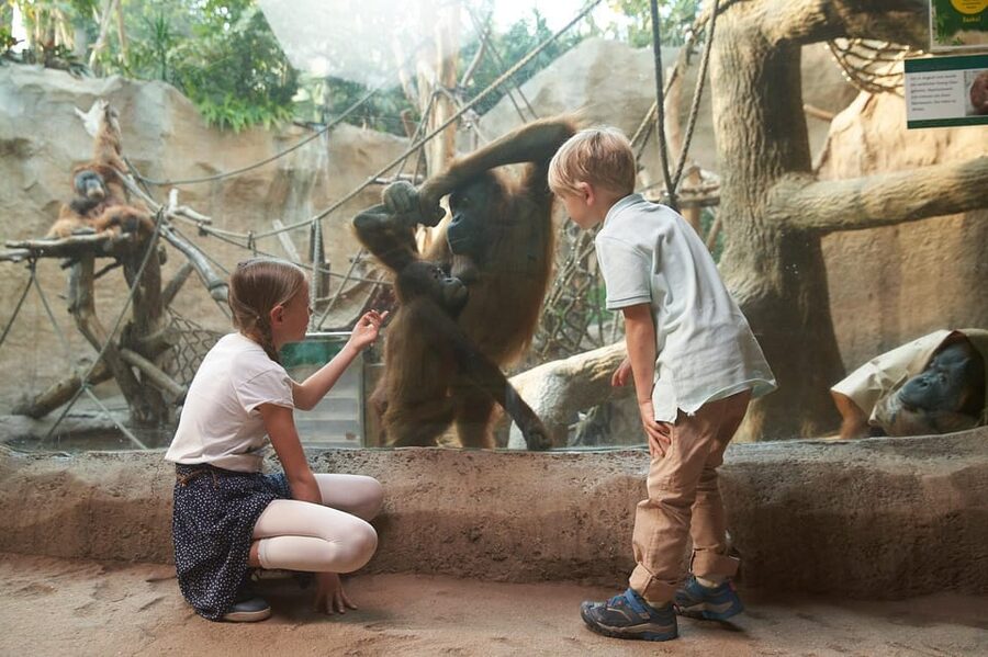 Leipzig Zoo: Entry Ticket - Who will enjoy Leipzig Zoo most