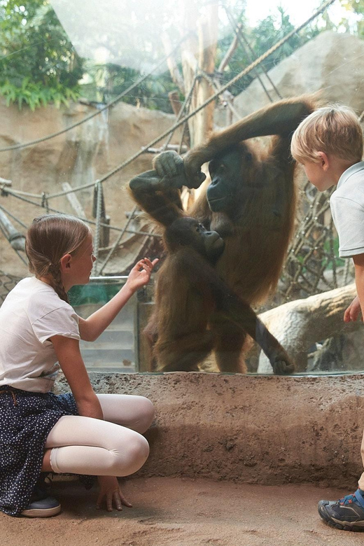Leipzig Zoo: Entry Ticket - Why Leipzig Zoo is more than a standard zoo visit